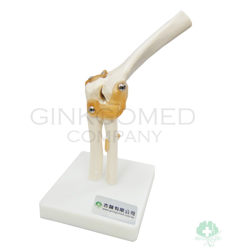 GM-010041 Elbow Joint