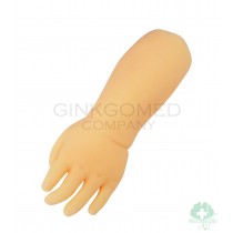 GM-HV0012  Child Venepuncture Hand Model